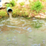 nước nhiễm mangan