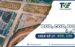 BOD, COD LÀ GÌ