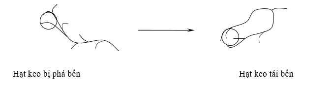 Cơ chế tạo cầu nối có thể biểu diễn theo sơ đồ phản ứng
